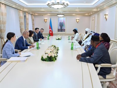 Sahibə Qafarova Afrika Qrupu parlament sədrlərinin müavinləri ilə görüşüb