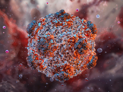 Bu virus tarixə qovuşdu - sonuncu xəstə sağaldı