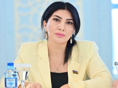 Elnara Səlimova: rəqəmsal azadlıqla təhlükəsizlik&nbsp;balansının qurulması&nbsp;dövlətlər üçün mühüm çağırışdır