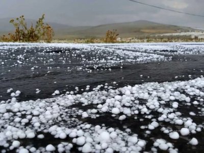 Laçına dolu düşüb