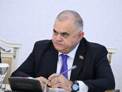 Arzu Nağıyev: Sosial şəbəkələr uşaqlar üçün ciddi təhlükəyə çevrilib