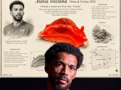 Yeni canlı növünə futbolçunun adı veriləcək