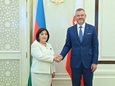 Milli Məclisin sədri Slovakiya Prezidenti ilə görüşüb