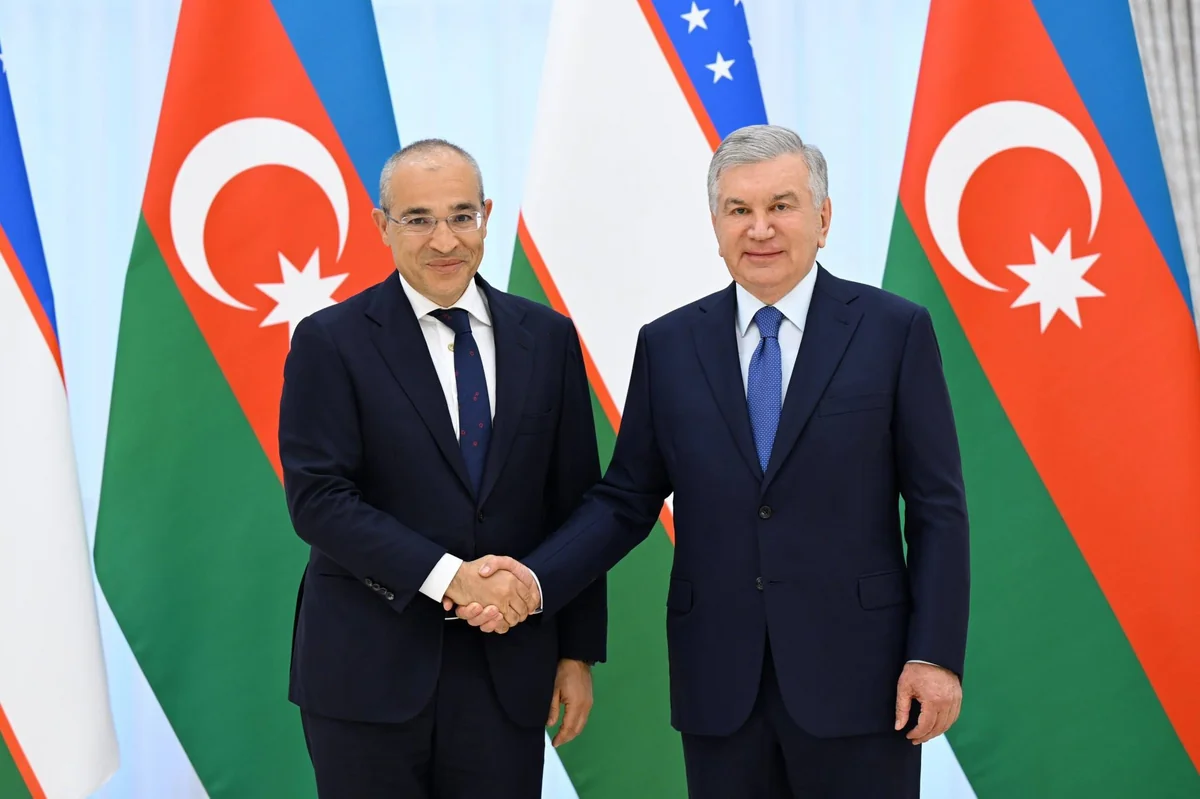 Mikayıl Cabbarov Özbəkistan Prezidenti ilə görüşüb&nbsp;