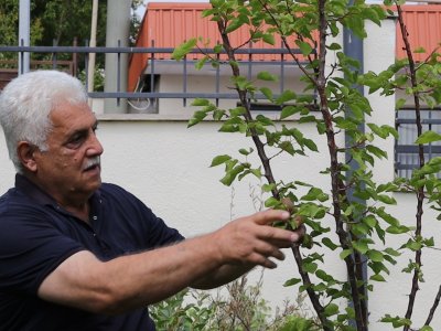 Kərkicahana dönüş: 33 ilin həsrətini sona çatdıran yol - FOTO