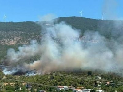Türkiyədə meşə yanğınları ilə bağlı 6 nəfər həbs edildi