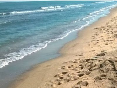 Sabah&nbsp;çimərliklərində gözlənilən hava şəraiti açıqlanıb