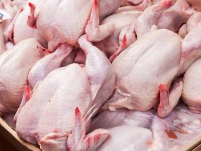 Azərbaycanda toyuq əti istehsalı kəskin artıb - Necə olacaq?