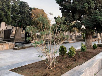 Meyiti qəbiristanlığın yaxınlığında tapıldı