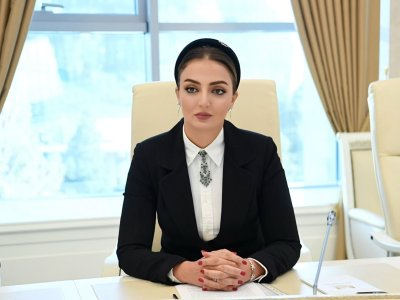 Naxçıvanın enerji potensialı beynəlxalq əməkdaşlıq üçün yeni imkanlar açır