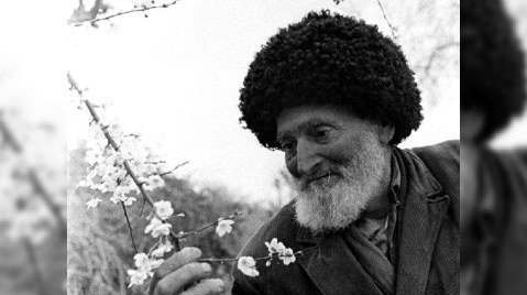 Azərbaycanda uzunömürlülərin sayı - Təəccüblü STATİSTİKA