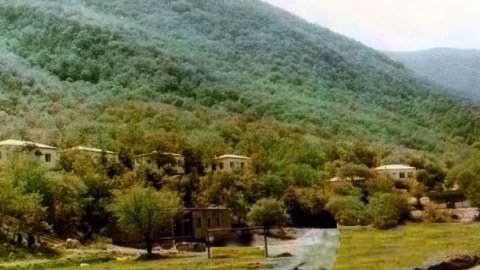 Ermənilər Zəngilanın təbii sərvətlərini məhv edirlər