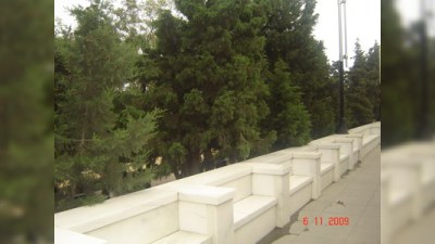 Qarabağ müharibəsi şəhidlərinin qəbirləri yaşıllıqda itirilib (fotosessiya)