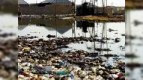 “Ekologiya ili”ndə ekologiyanı necə sağlamlaşdıracaqlar?