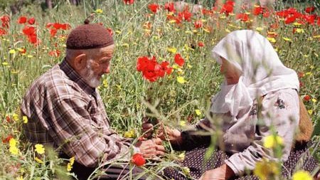 Azərbaycanda ildə 200-dən çox ağsaqqal və ağbirçək boşanır
