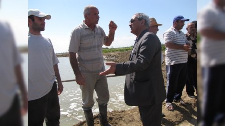 Fəlakət zonasından qayıdan deputat: "Salyanda 3000 evə ziyan dəyib" 