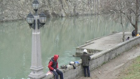 Kürün suyu çirkləndikcə, balıqları dadsızlaşır (araşdırma)