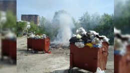 Bakının təhlükəli sanitar vəziyyəti: Tikinti “bumu” siçovulların artmasına səbəb olub