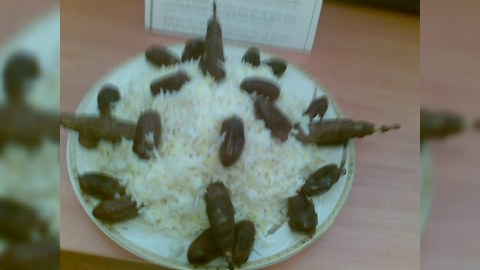 Bakıda plov festivalı keçirildi (Fotosessiya)