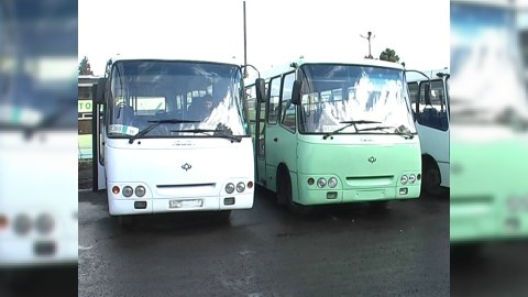 Gəncəyə yeni avtobuslar gətirildi