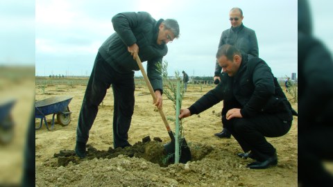 Nazir iməcilikdə iştirak edib (FOTO)