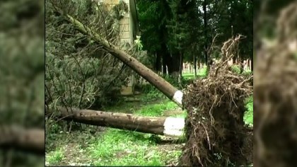 Zaqatalada qasırğa rayon infrastrukturuna ciddi ziyan vurub (FOTOLAR)