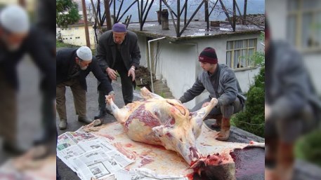 Hacıbala Abutalıbov Qurban bayramına hazırlıqla bağlı tapşırıq verib