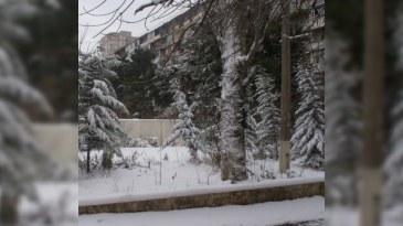 30 yanvarın hava proqnozu - Bakıda şaxta olacaq