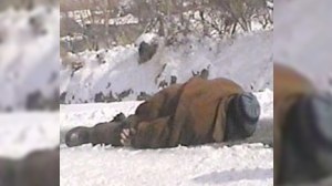 Bakıda daha 2 nəfər donvurmadan öldü