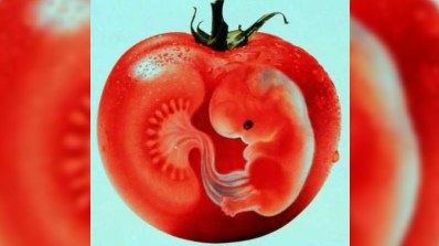 “GMO məhsullar”ın acı fəsadları... Körpələr arasında əlillik faizi artır  