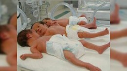 Çoxuşaqlı ailələr üçün yeni status hazırlanır