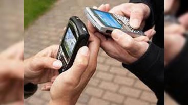 “Zerkalnı nömrə”lərin baha satılması oyunu - AKTUAL