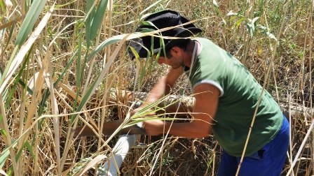 Bakıda sudan qanunsuz istifadə halları aşkarlanıb