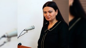 Deputat Milli Məclisdə kimsəsiz uşaqların problemini qabardıb