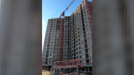 Redaktorlar Əli Həsənovun evsiz jurnalistlərlə bağlı meyarlarını bəyəndilər