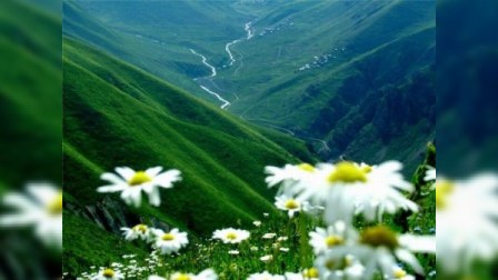 Bahar, qədəmlərin mübarək!