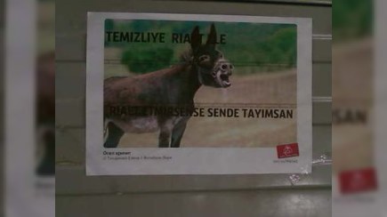 “Eşşək” nazirlik əməkdaşının işdən çıxarılmasına səbəb oldu - FOTO