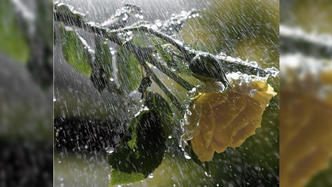 Qeyri- sabit  hava şəraiti davam edəcək - HAVA