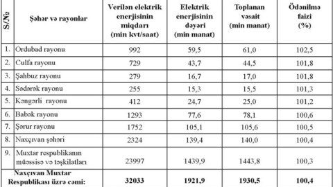 Naxçıvanda “Ginnes”ə düşəcək “rekord”
