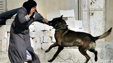 Azərbaycanda 8 nəfər quduzluqdan, 72 nəfər isə brüselyozdan ölüb