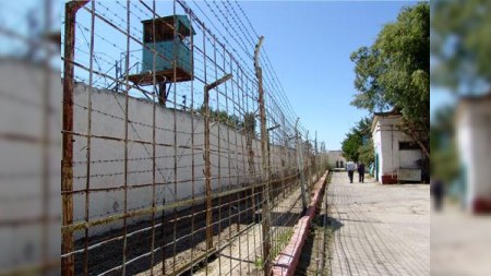 Azərbaycandakı həbsxanalarda məhkumlar inək, qoyun saxlayırlar