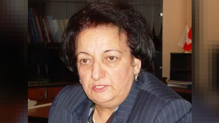 Baş redaktorlardan Elmira Suleymanovaya MESAJ: “Hanı media ombudsmanı?”
