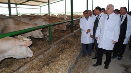 İsmət Abasov şikayətçiləri qəbul etdi - FOTOLAR