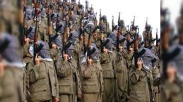 PKK Türkiyəyə qayıdır