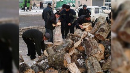 Ekologiya Nazirliyi: “Qış üçün 45 min kub metr həcmində odun tədarük olunacaq”