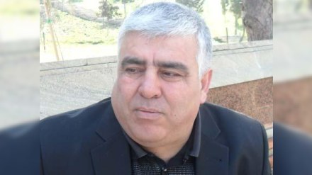 “İctimai Palatanın ləğvi qalmaqalla olmamalıdır”  - Qurum üzvü