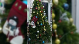 Yeni İl “ceyran üstə gəlir”: 400 manatlıq şam ağacı, 50 qəpiklik papaq – FOTOLAR