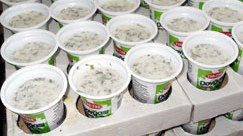 Dövlət Komitəsi “Halal Bərəkət” nişanlı süd məhsullarında pozuntu aşkarladı