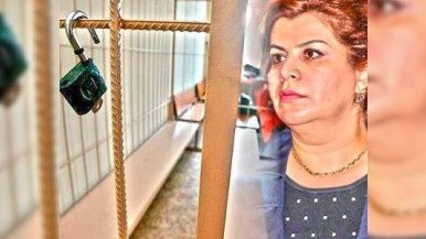 “Gülər Əhmədova azadlığa çıxa bilər” - VƏKİL