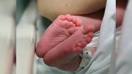 Qaxda yeni doğulmuş körpə meyiti tapılıb